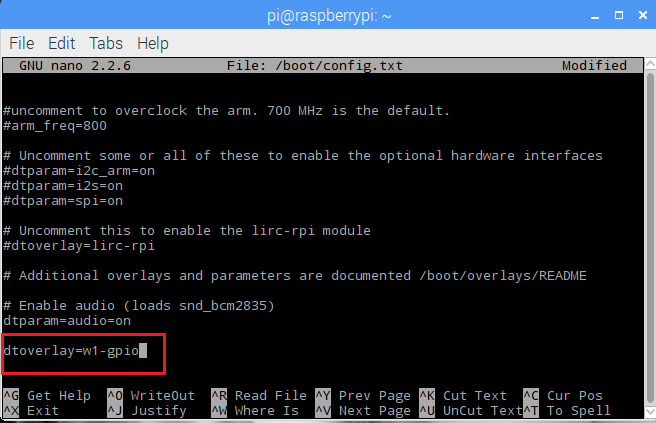 Raspberry Pi DS18B20 Edit Config